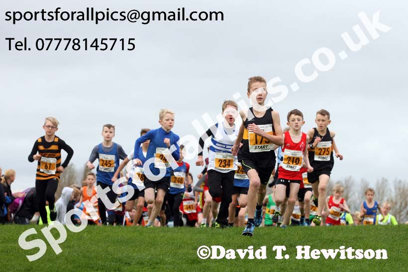 Boys under-11s, Sherman Cup and Davison Shield, Temple Park, South Shields. Photo:  David T. Hewitson/Sports for All Pics